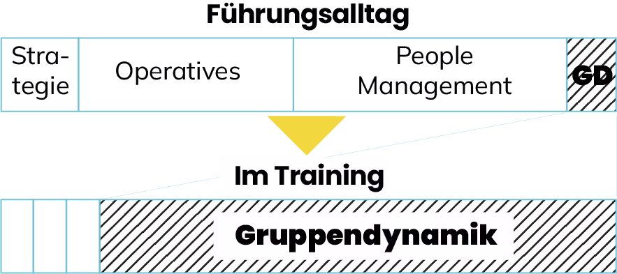 Grafik eines Gruppendynamischen Trainings im Vergleich zum Führungsalltag